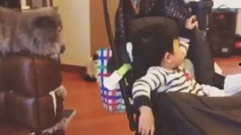 超91国产视频,探索中国影视新篇章